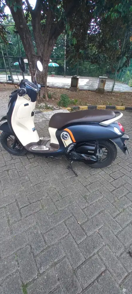 HONDA SCOOPY 2021