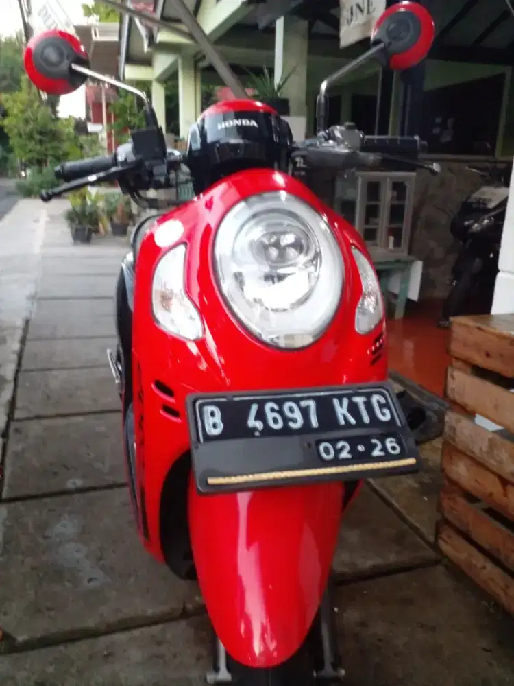 Scoopy Sporty 2021