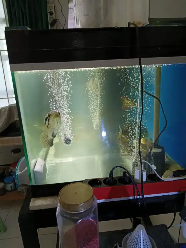 Aquarium lengkap