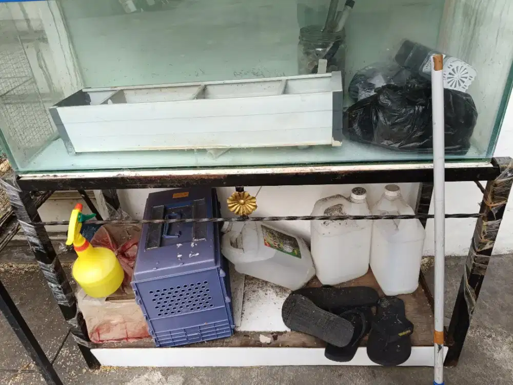 Aquarium ukuran sedang