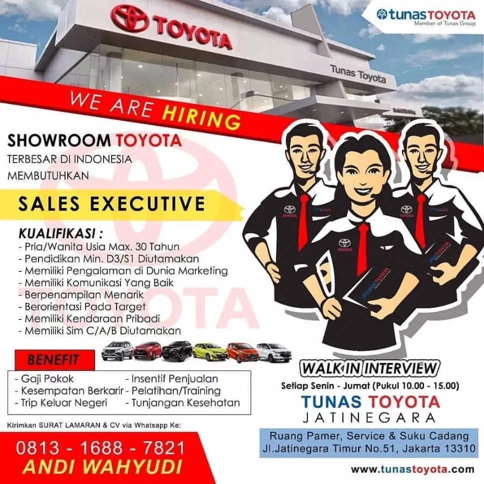 Sales Executive Toyota