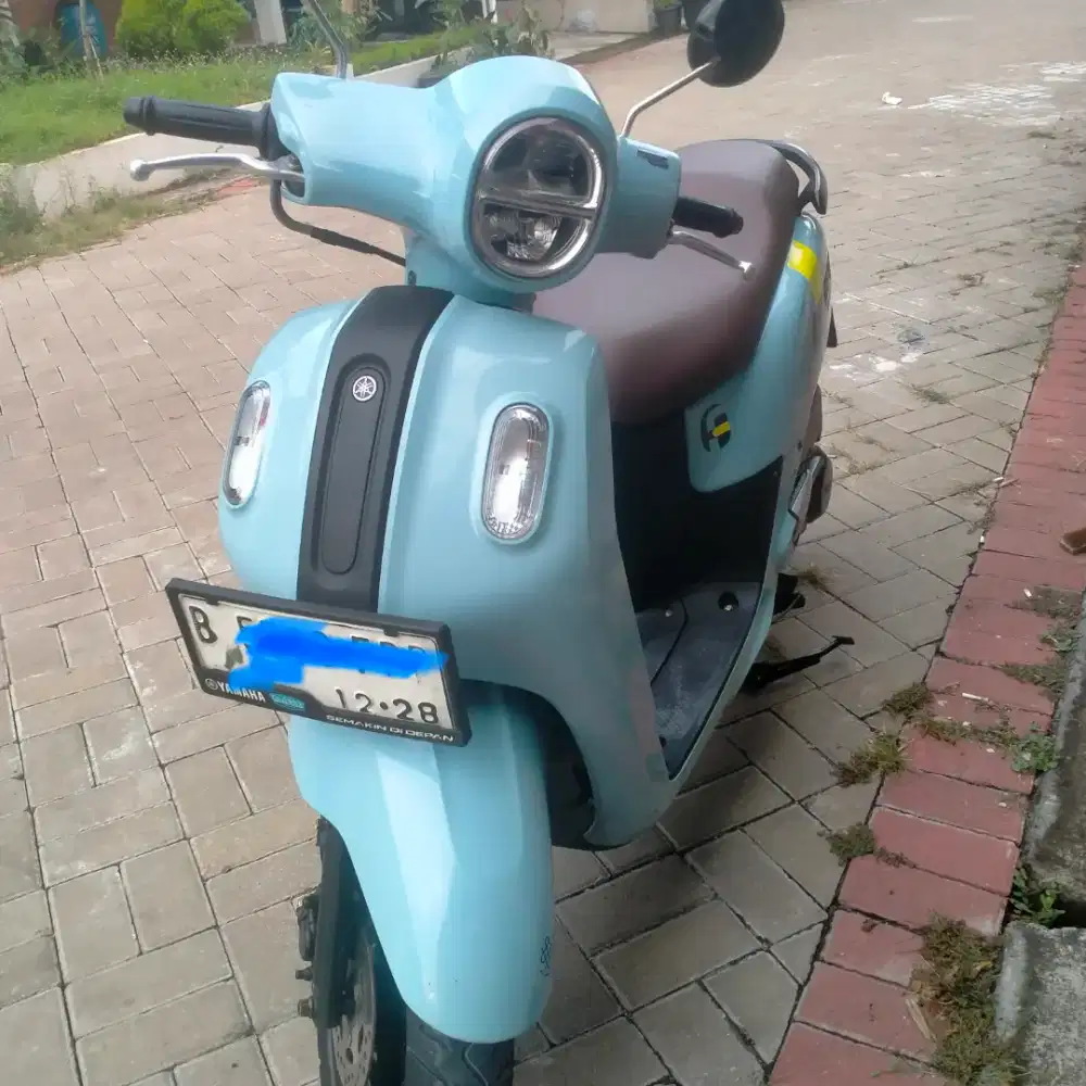 Fazio Neo hybrid 2023