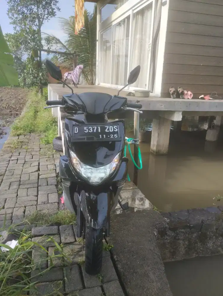 Yamaha Freego Originale