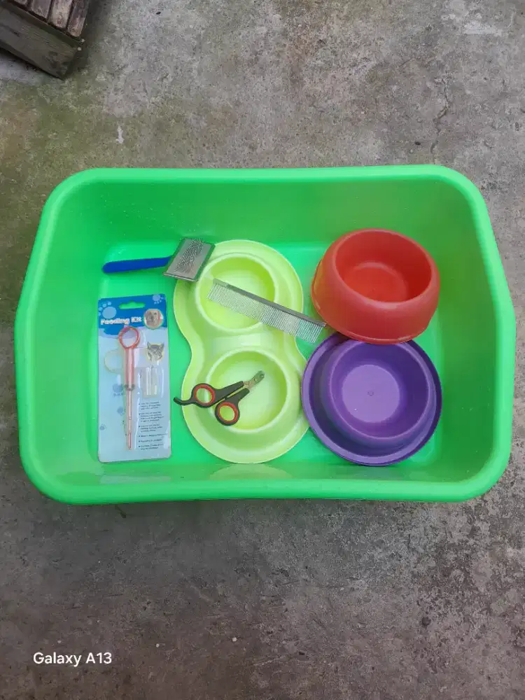 Pelengkapan kucing