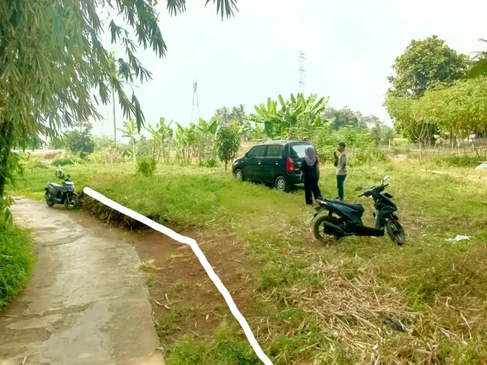 Jual tanah pingir jalan desa udah ada kolam ikan