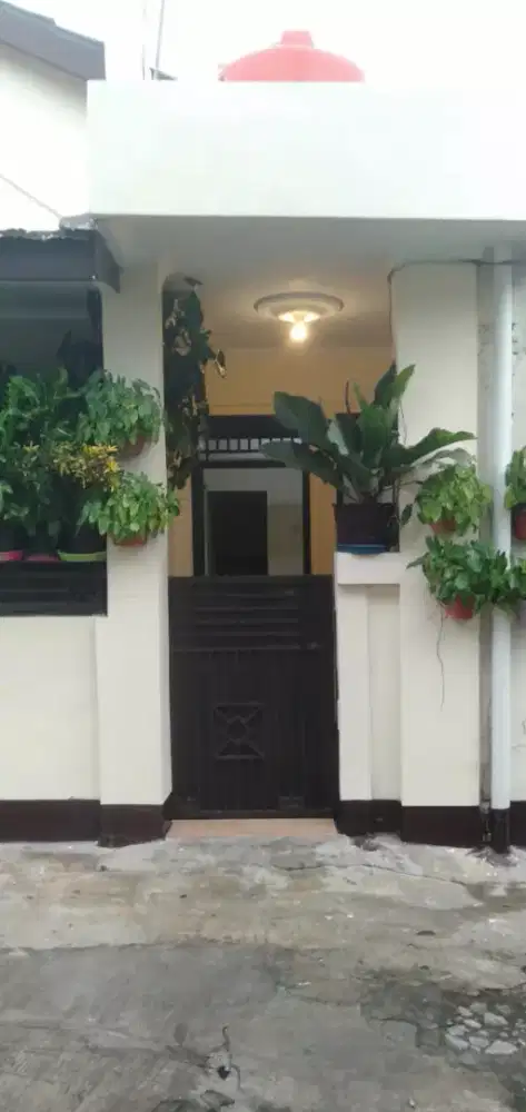 Disewakan rumah