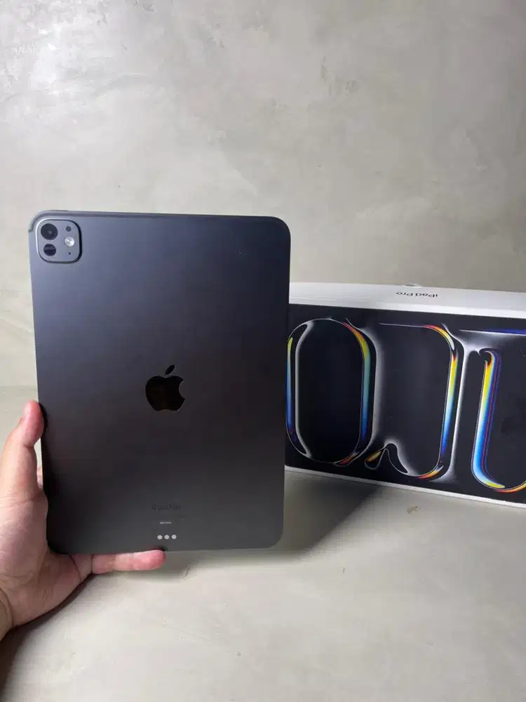 ipad pro m4 256gb 11 inch wifi only resmi ibox