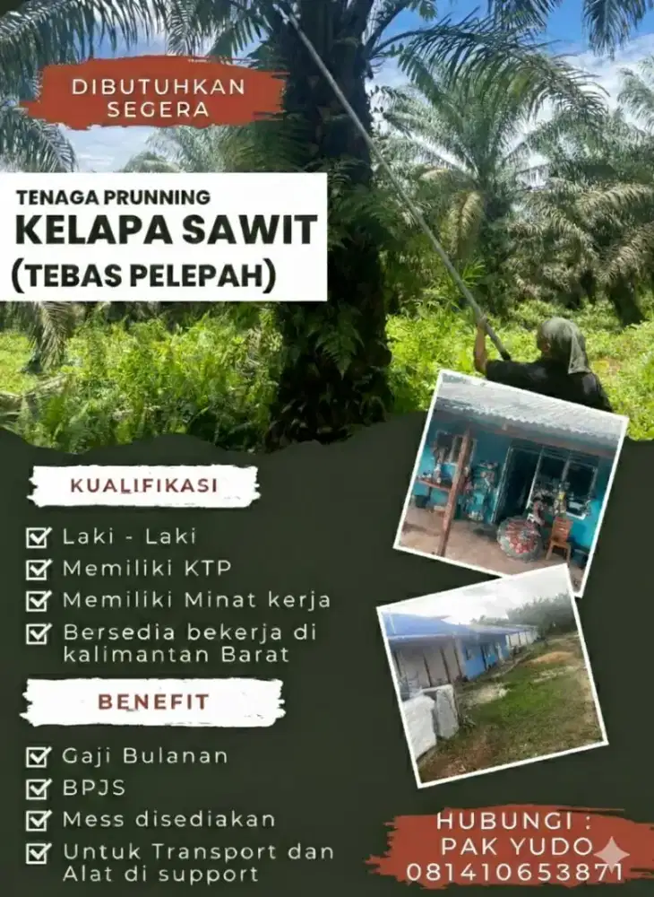 Butuh segera bukan penipuan!