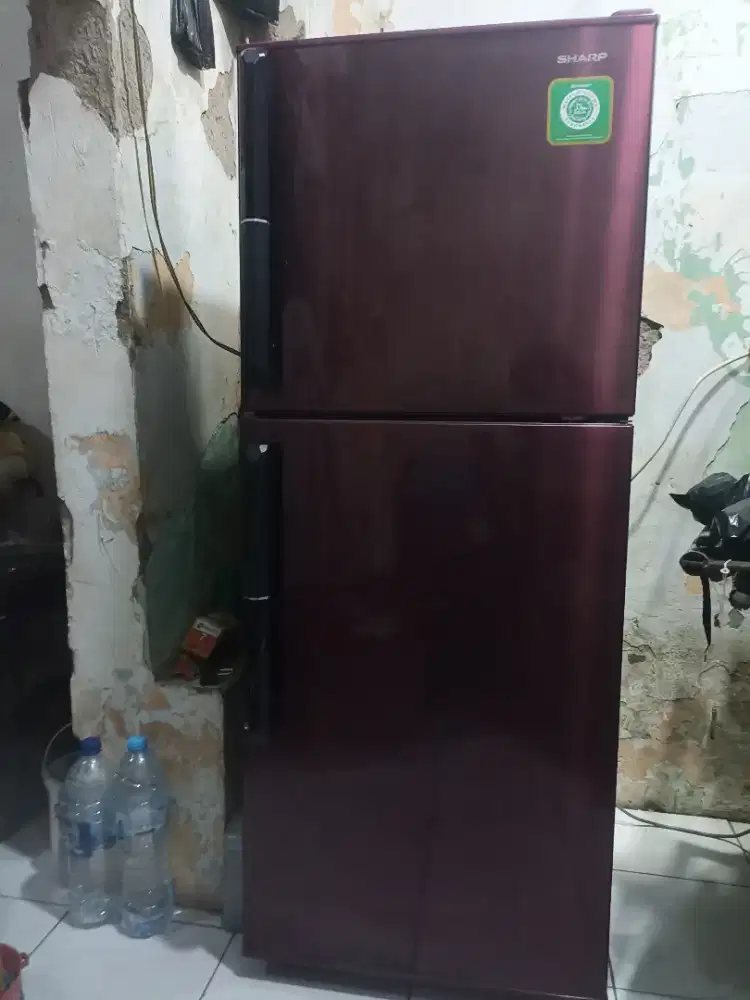 Kulkas sharp 2 pintu
