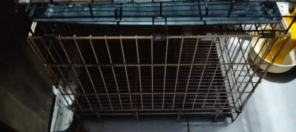 Dua kandang kucing kondisi bekas layak pakai