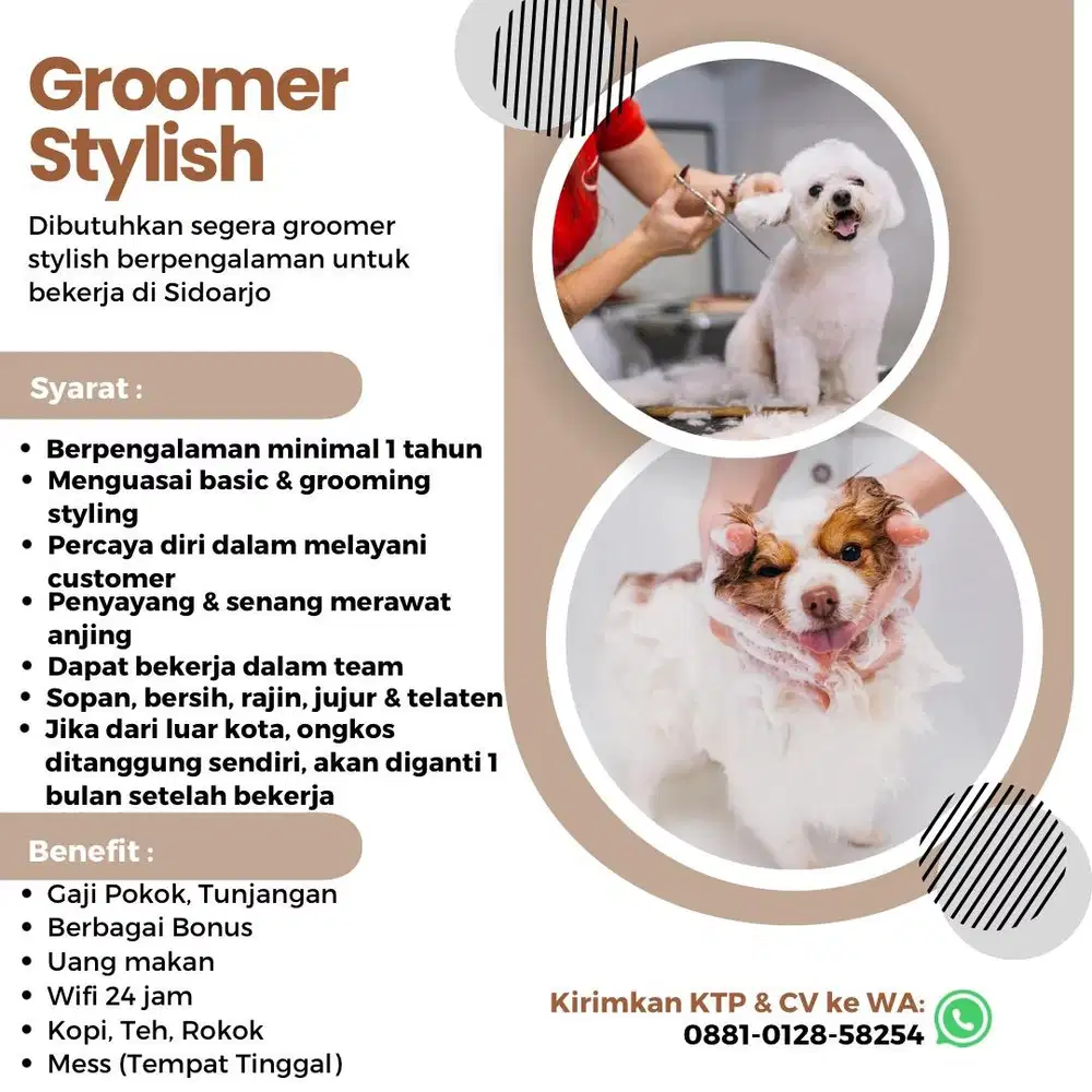 Groomer Stylish