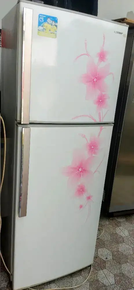 Kulkas 2 pintu jumbo segel