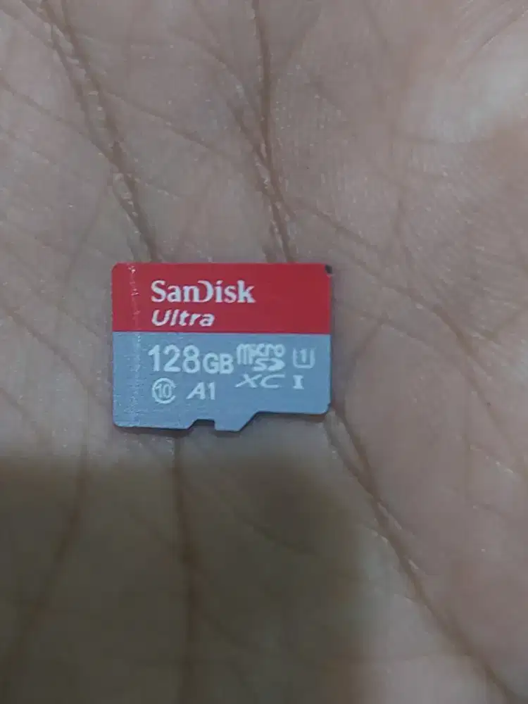 Memori SanDisk 128GB
