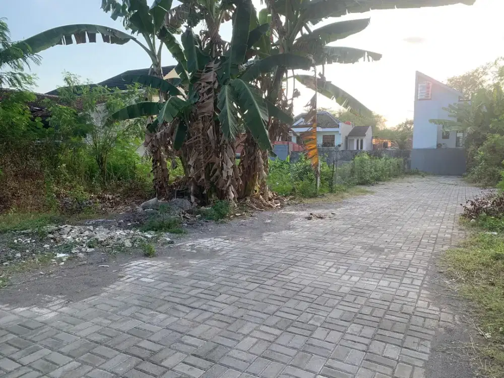 Dekat Kampus UGM Tanah Strategis di Jl. Damai Sleman Siap Balik Nama