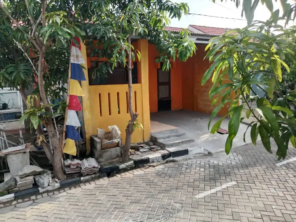 Di Sewakan Rumah