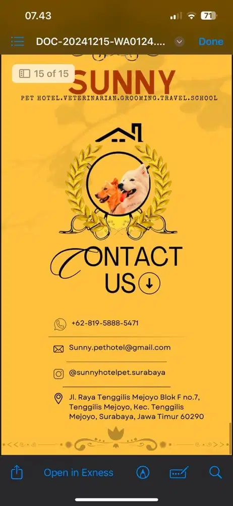 Open loker groomer anjing + kucing