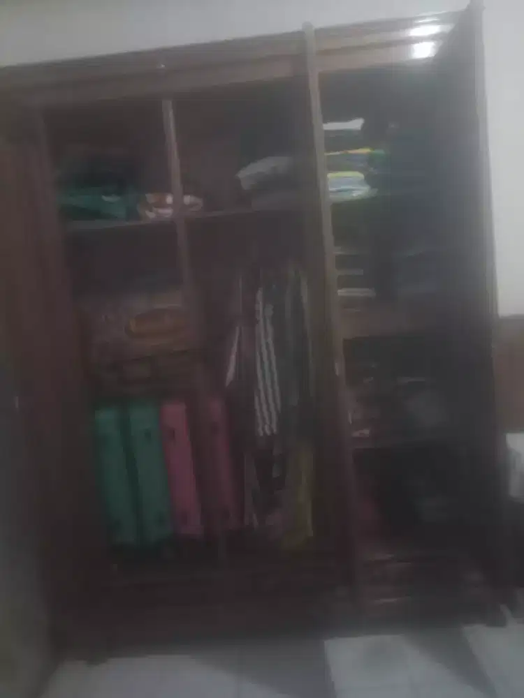 Jati jepara asli