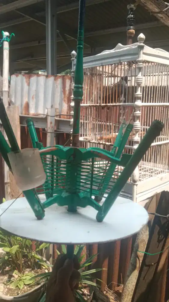 Kandang burung layang