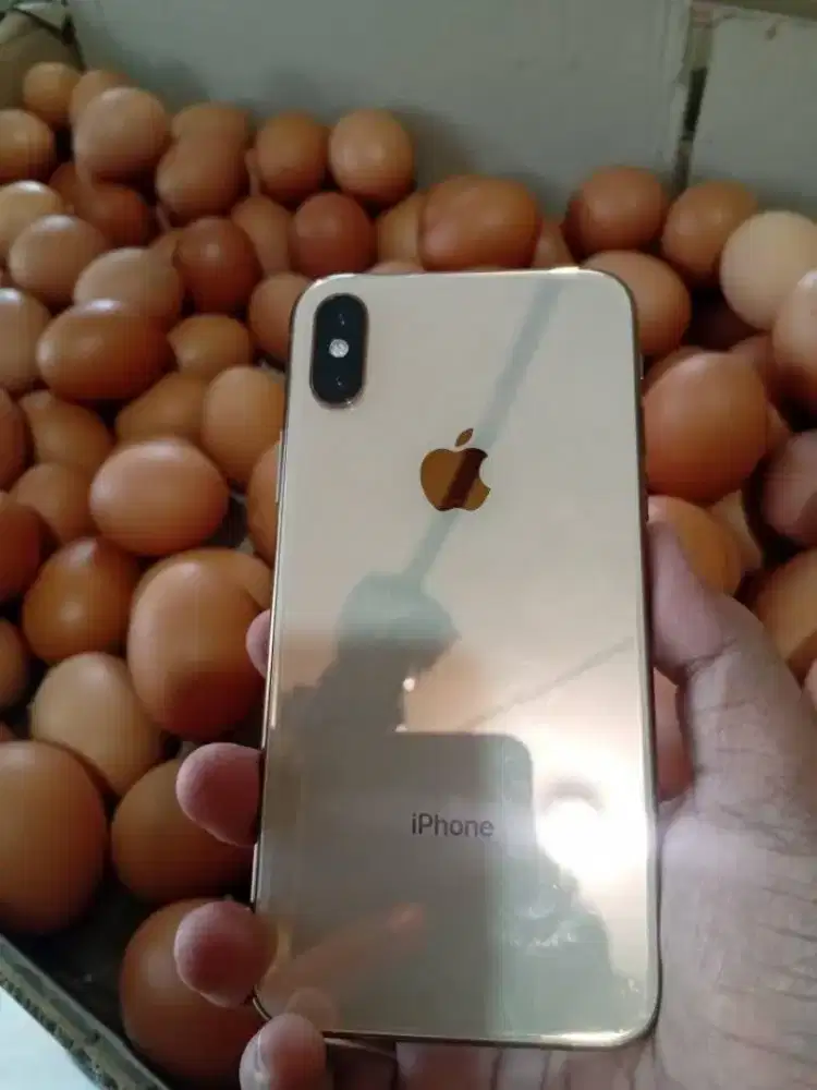 Iphone XS 256GB Inter XL ONLY