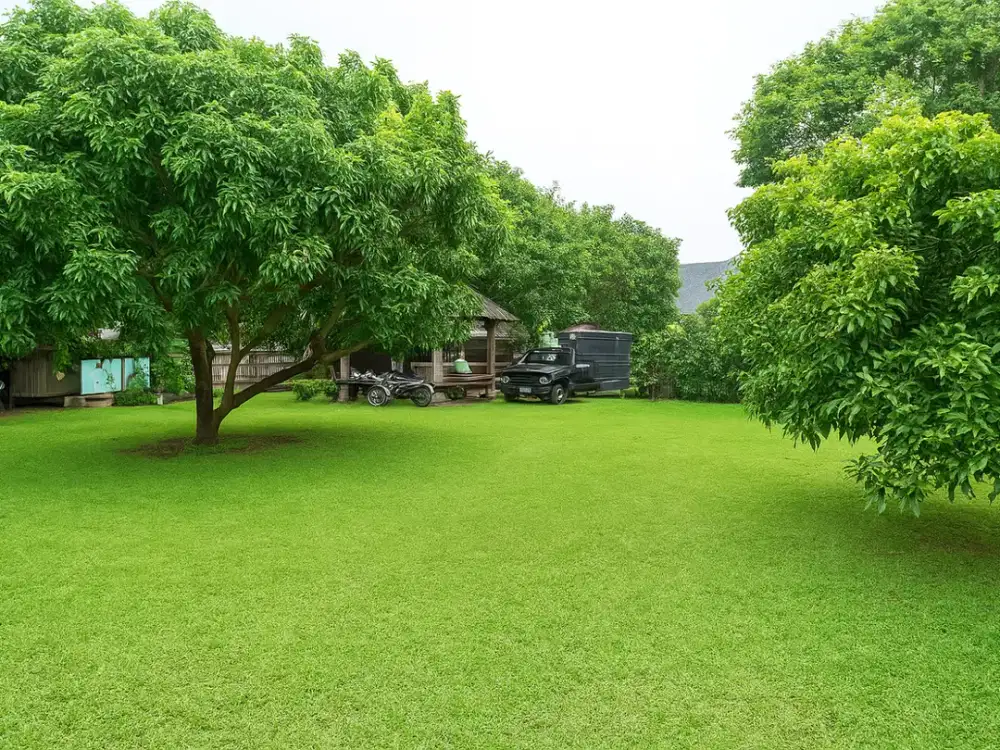 Dijual Tanah Kavling di Patra Kuningan – Lokasi Premium Jakarta Selatan