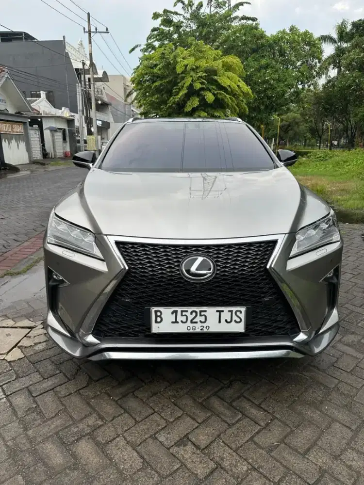 Lexus RX 300 F Sport 2019 Full Original Cat Istimewa