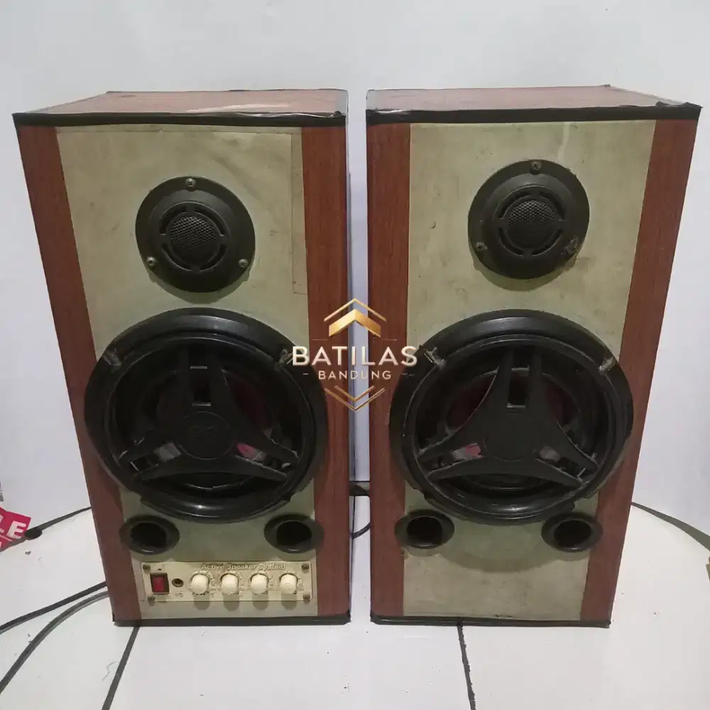 Speaker Aktif 5.5 inc
