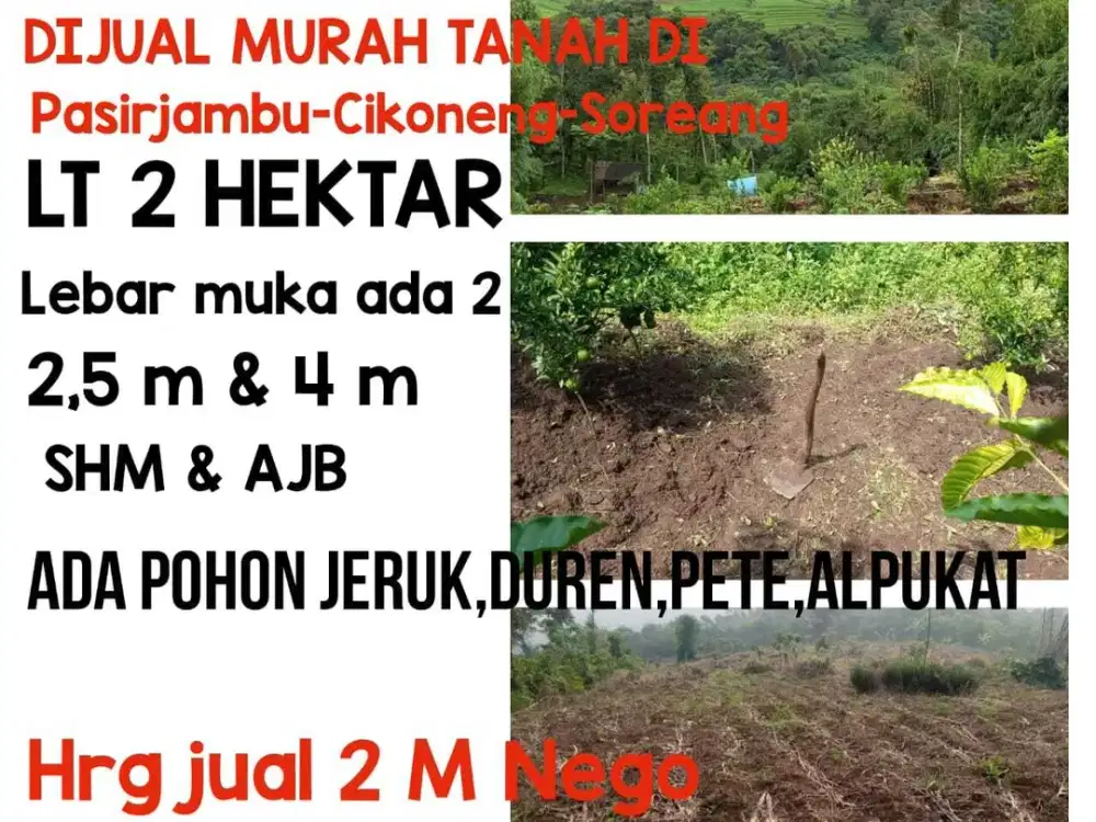 Jual Murah Tanah 2 hektar di Pasirjambu Soreang