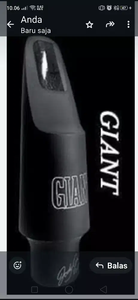 Alto Mouthpieces GIANT  Saxophone