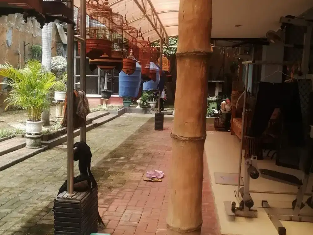 Rumah Terawat di Jl Kauman Palebon Pedurungan