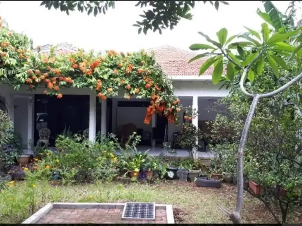 Rumah tinggal 1 lantai Kemang, Mampang Prapatan Jakarta Selatan