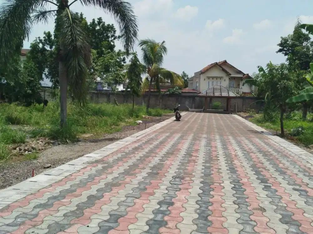Dijual Tanah Bersertifikat SHM Berlokasi Di Dramaga Bogor