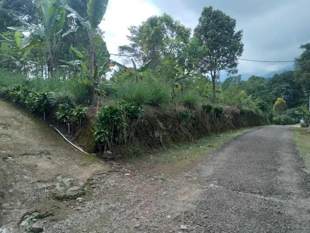 Di Jual Kebun Murah,View Gunung Burarang