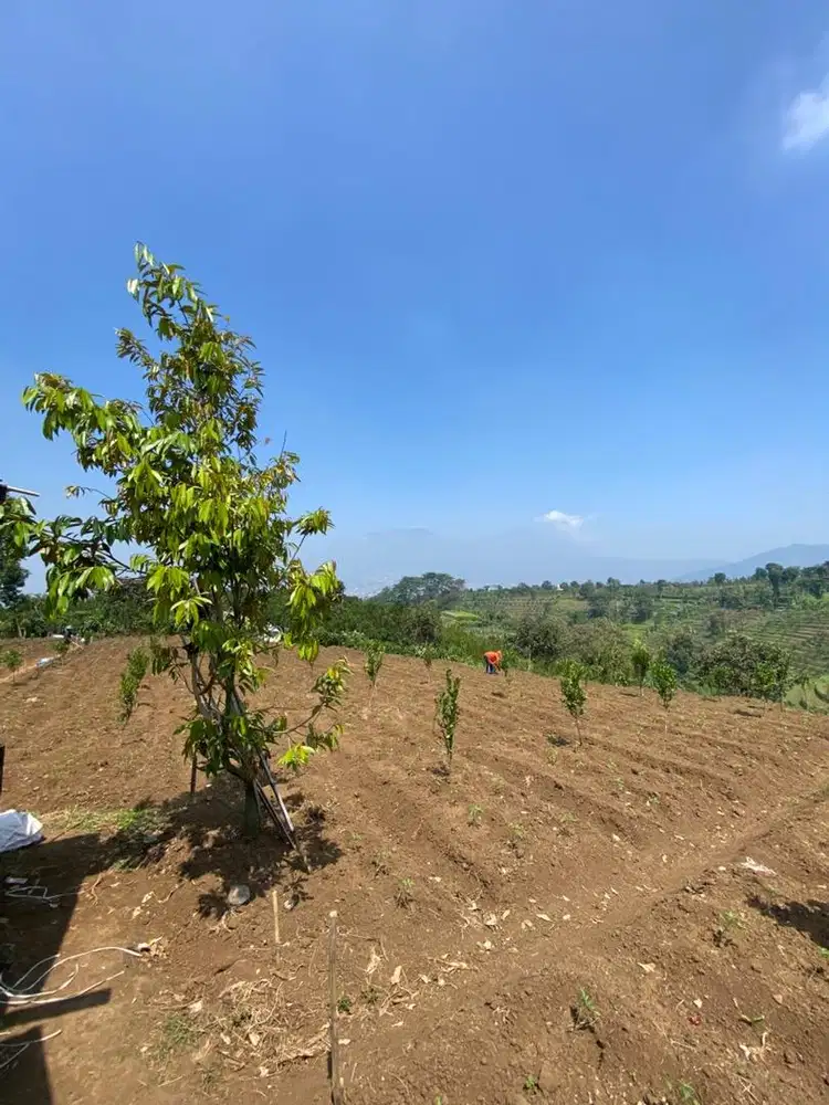 Jual Cepat (BU) View 360 pegunungan Harga miring