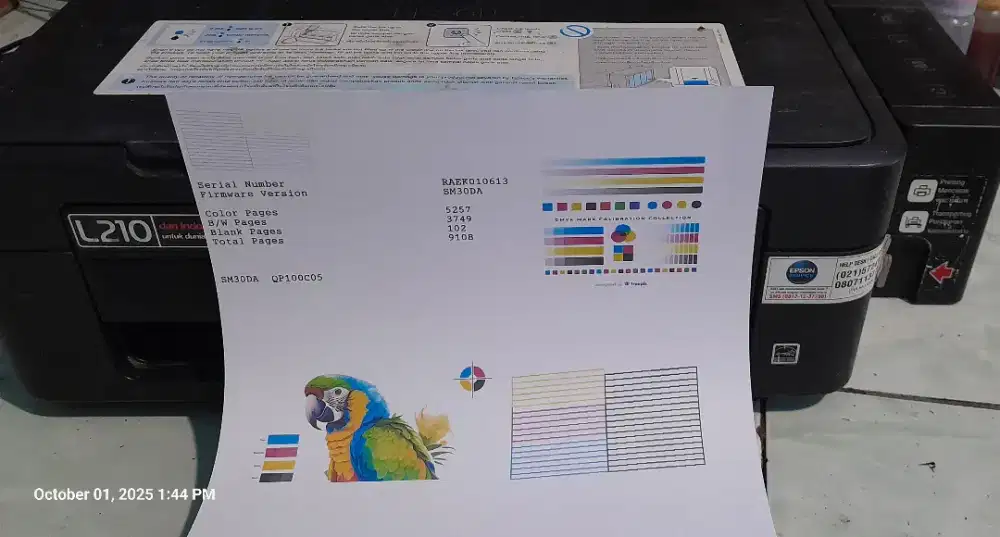 Printer epson l210 black full color putus