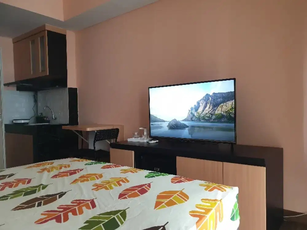DISEWAKAN AYODHYA APARTEMEN TERMASUK WIFI DAN IPL
