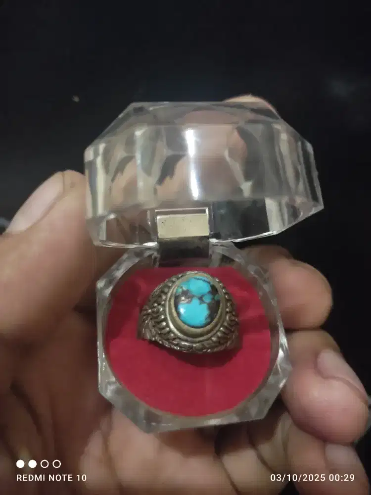 Pirus persia biru fancy lawasan