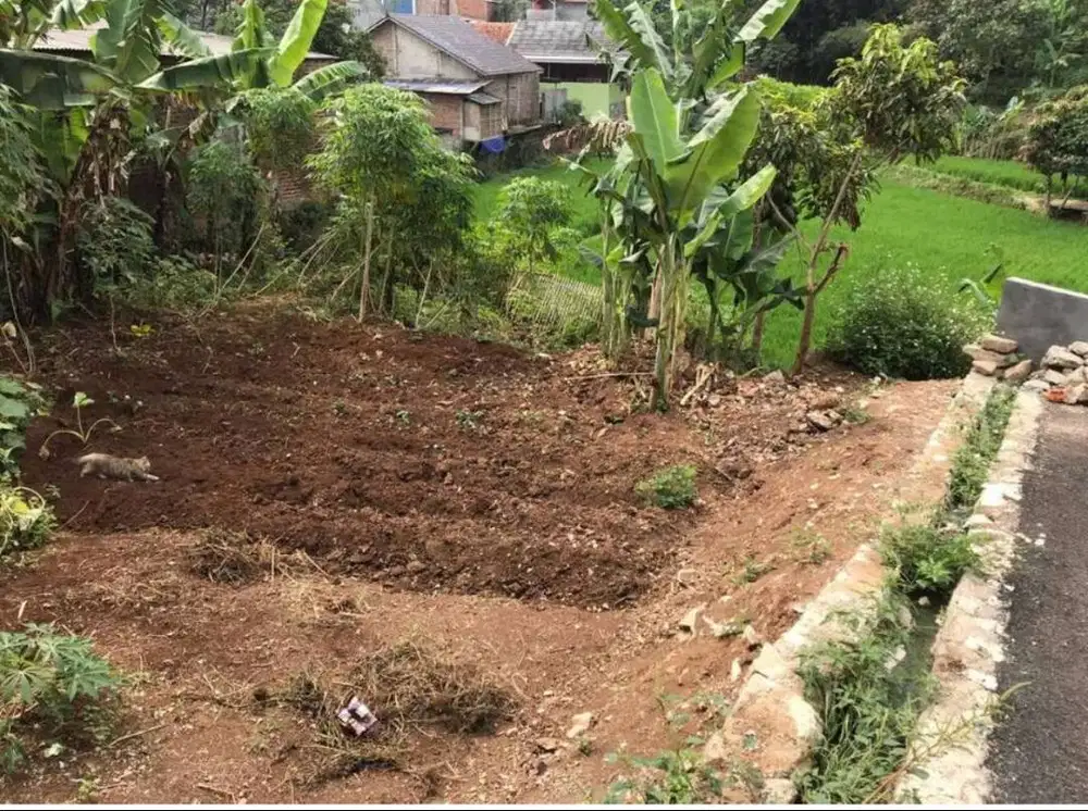 BU Dijual cepat tanah di Cilame