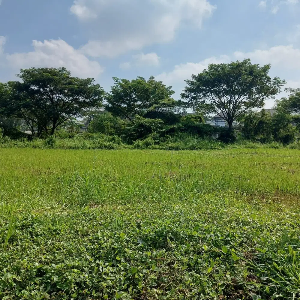 Bukit Golf Internasional Wide Golf View Citraland