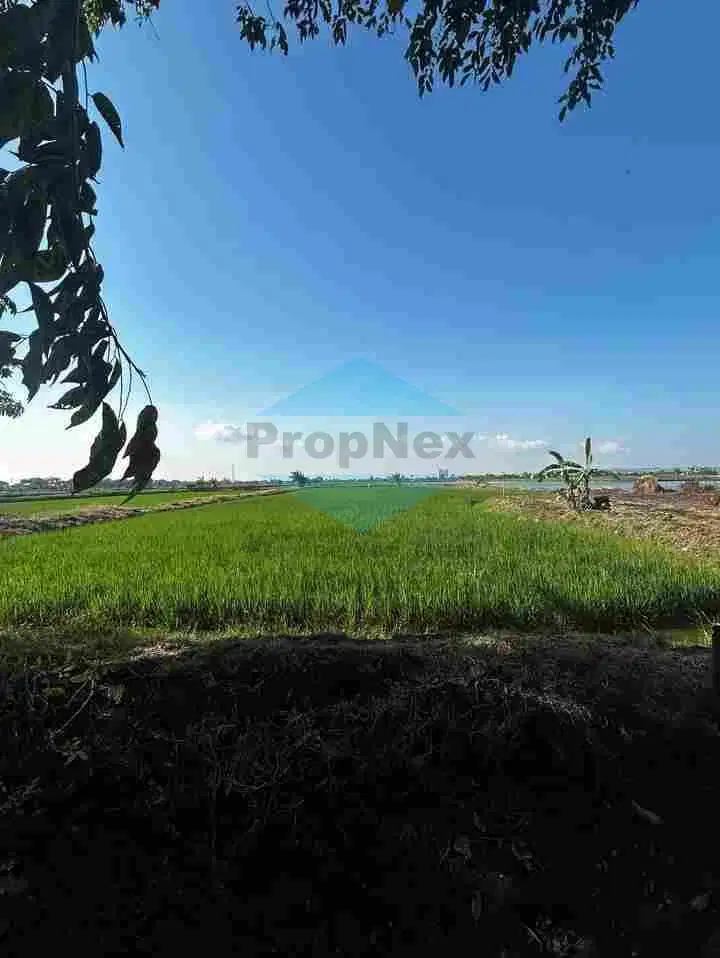 panduJono Raya Banjarsari Tol Cerme