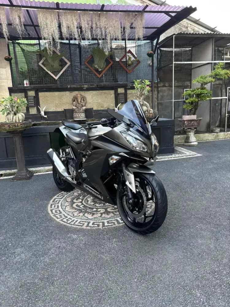 Ninja fi 250 pmk 2016