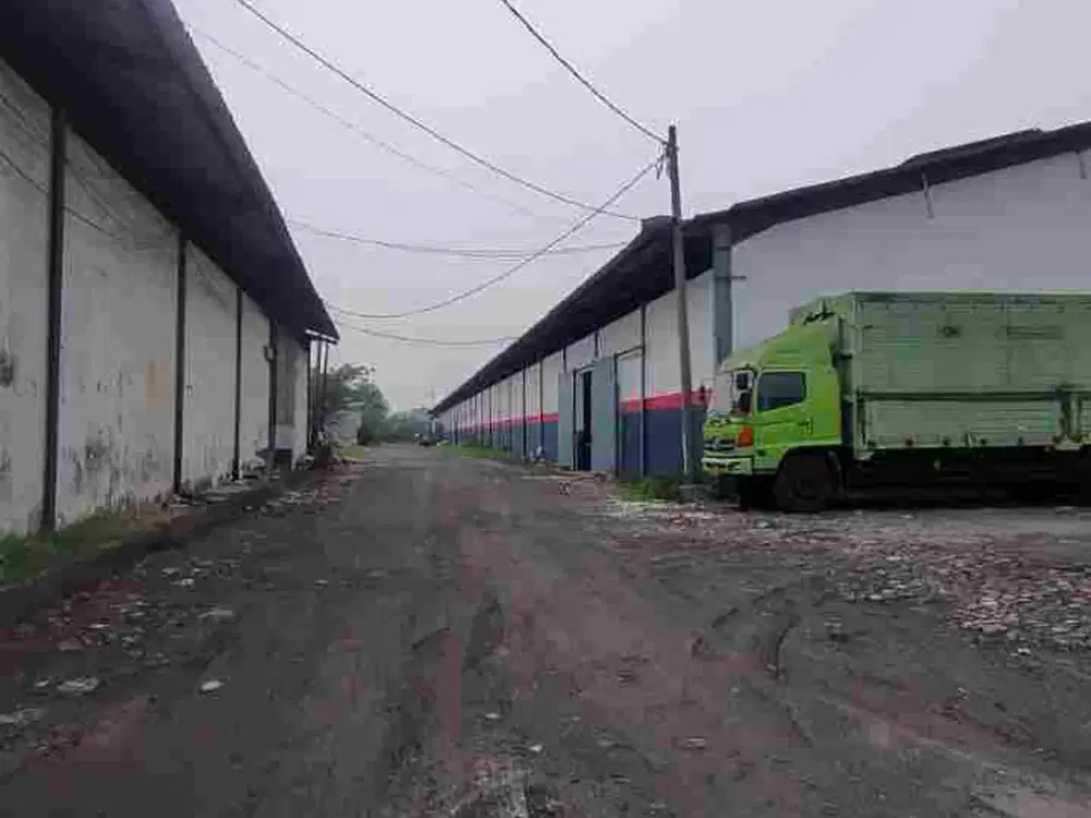 sepanjang
