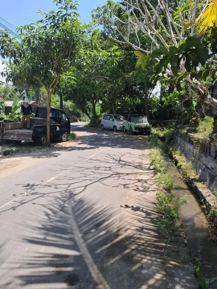 Di jual tanah jalan Pasekan , Batubulan, Gianyar , Bali