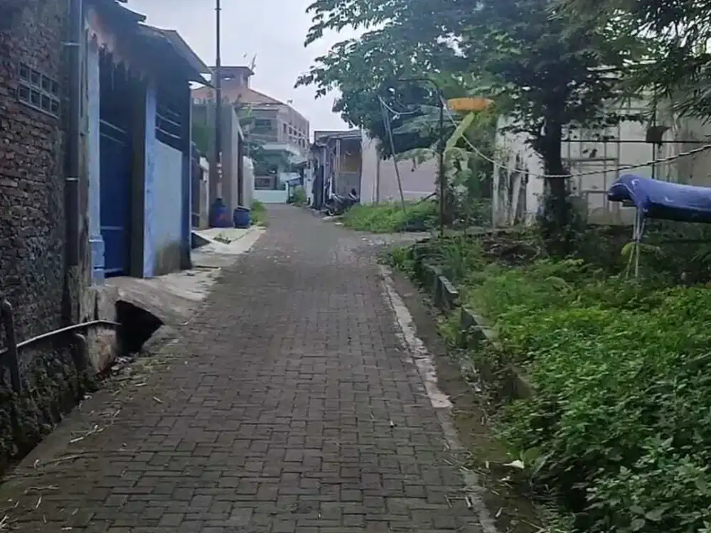 Tanah Dkt Jl Raya Dadapan Sendangmulyo Tembalang Dkt RSUD Ketileng