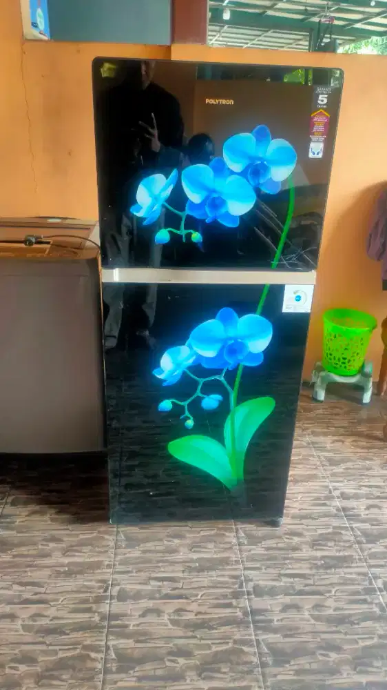 kulkas polytron 2pintu