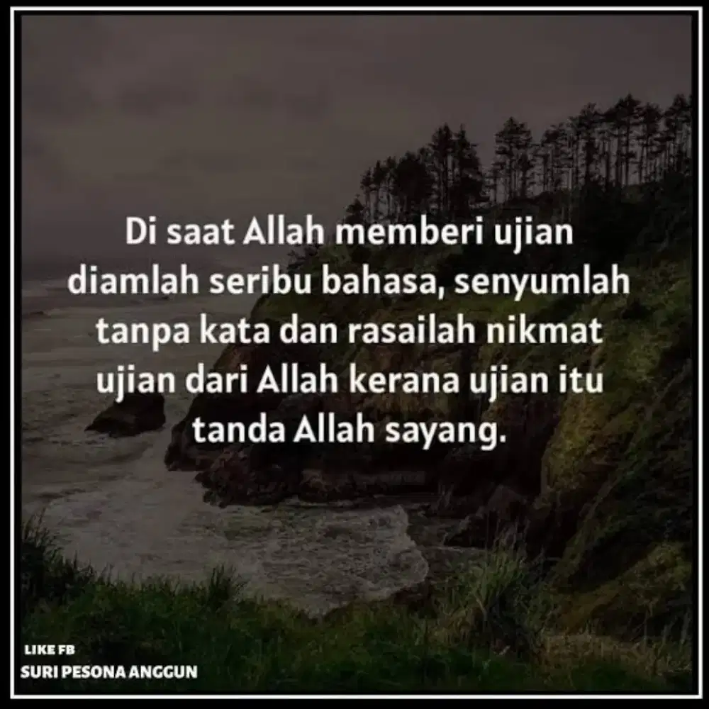 Loker mencuci, Bagian mencuci
