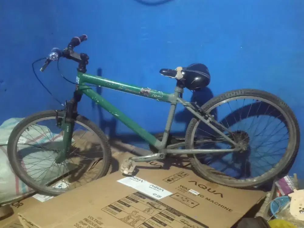 sepeda/mauntain bicycle