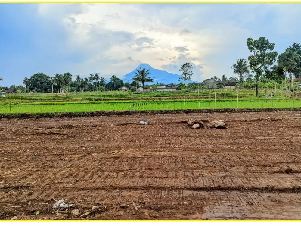 Tanah Pandowoharjo Jalan Palagan View Sawah Siap Bangun