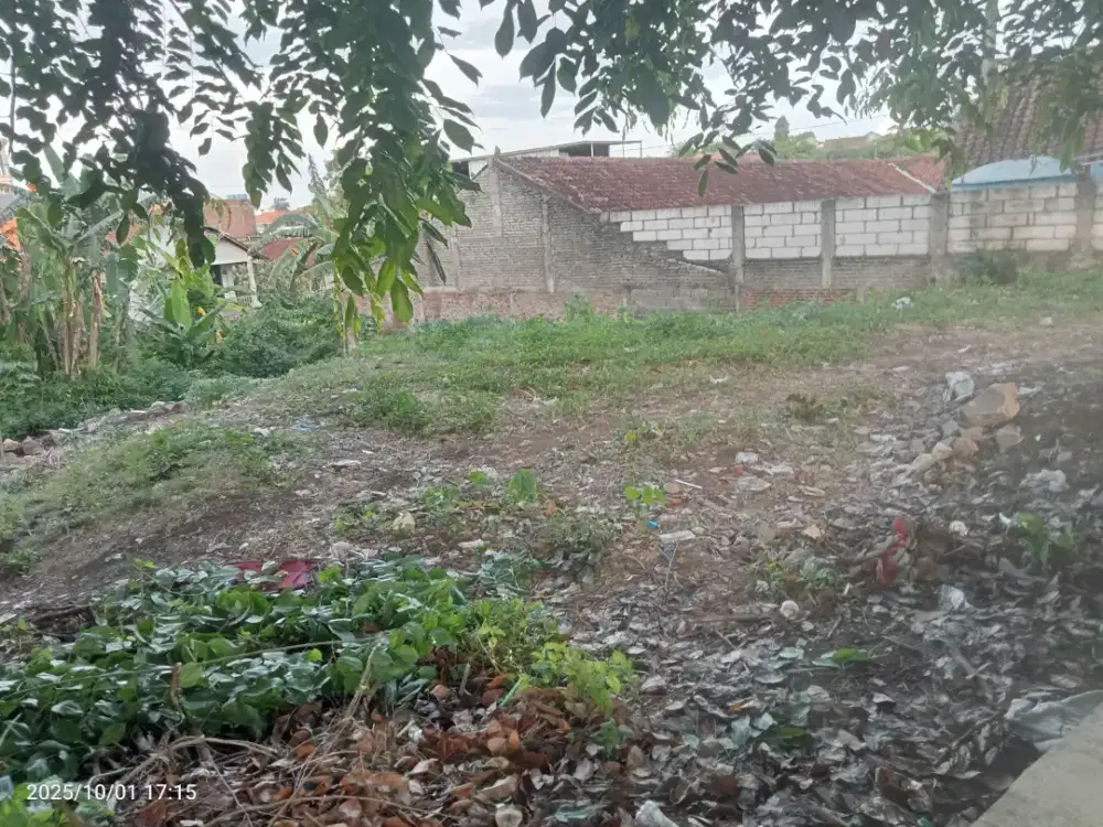 Di jual tanah shm