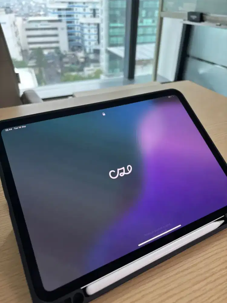 Ipad Pro 11 M4 White