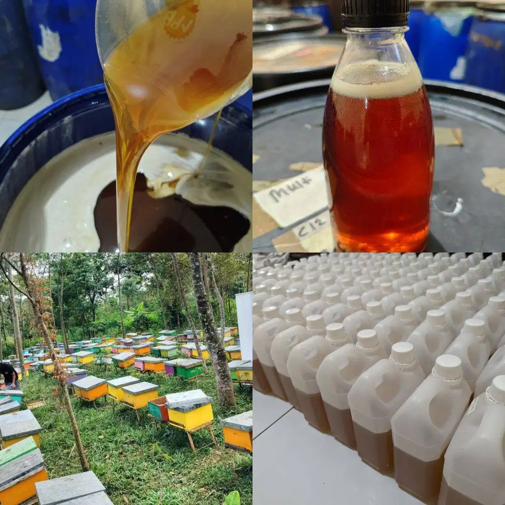 AGEN JUAL MADU KEDIRI ASLI MURNI, Grosir Murah
